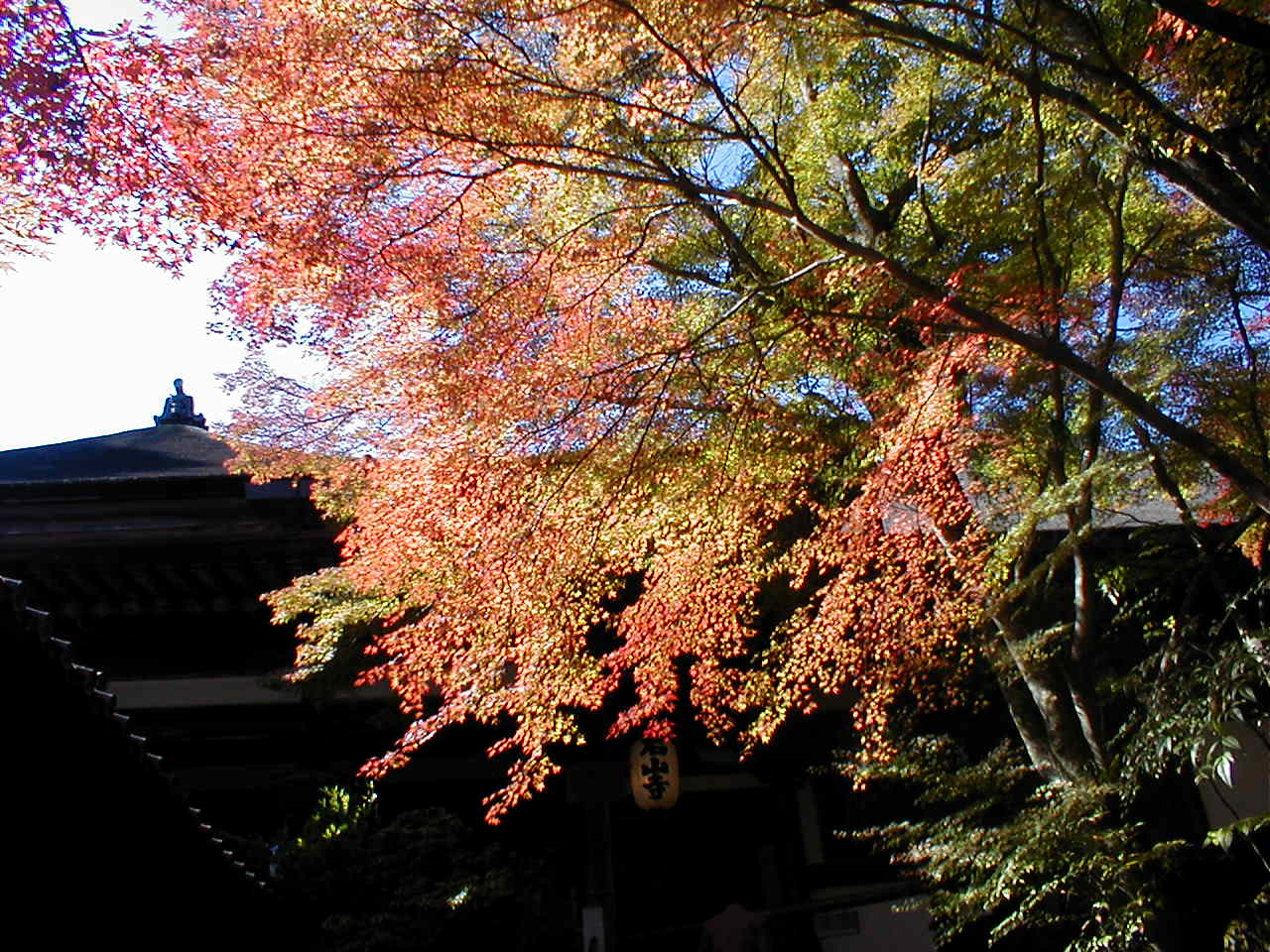 石山寺の紅葉～PB130021.JPG