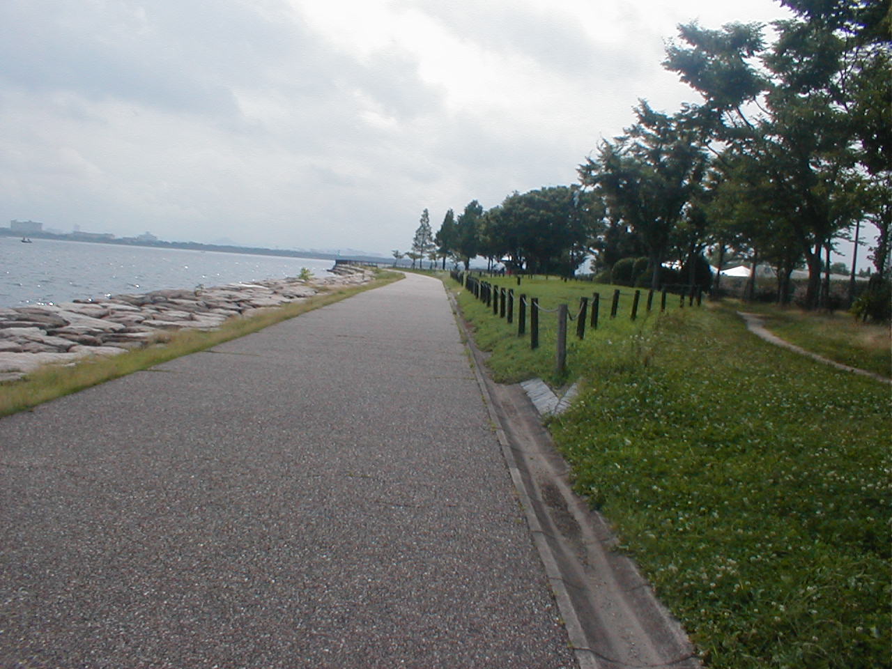 湖岸の遊歩道