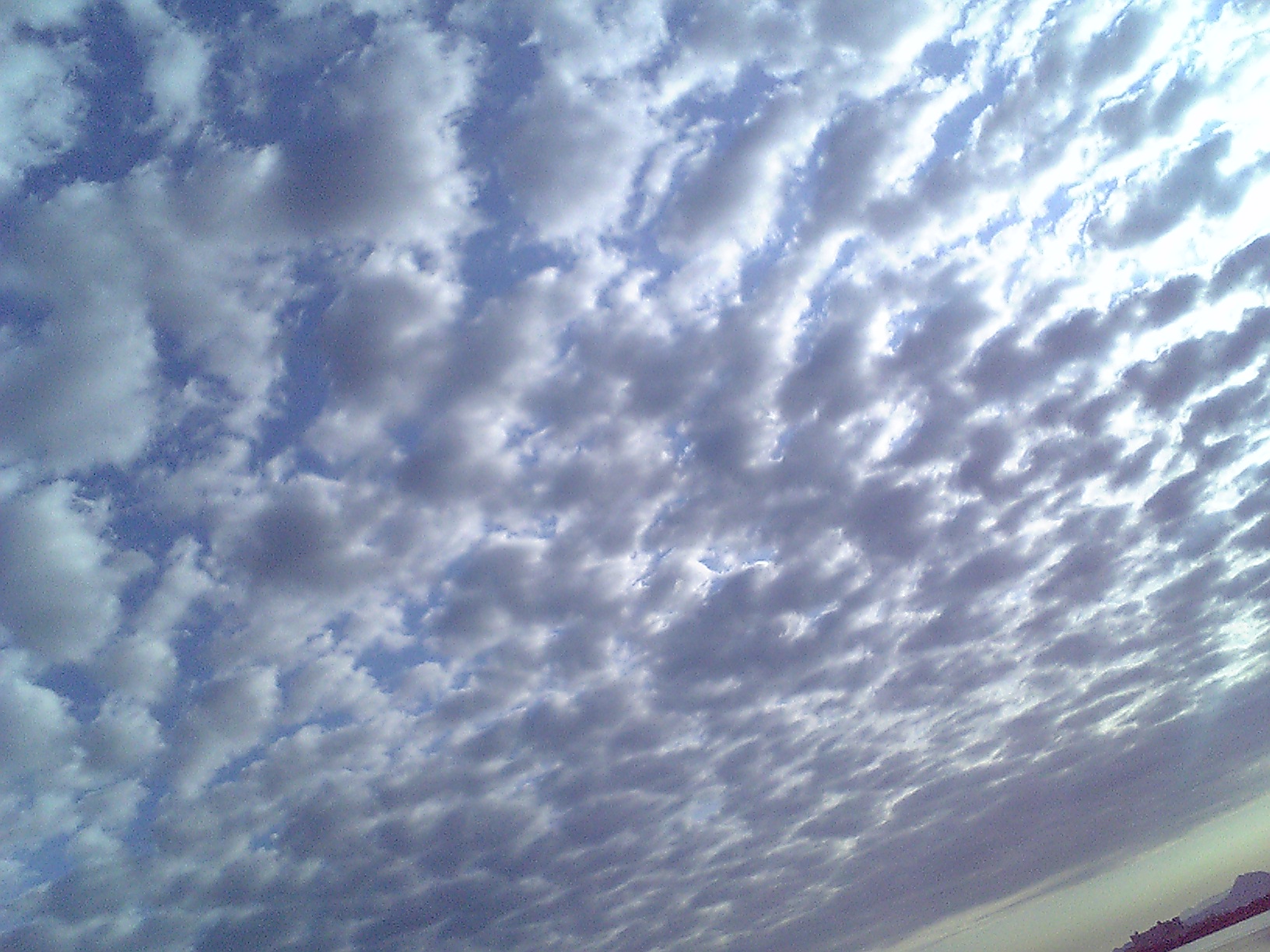 今朝の雲