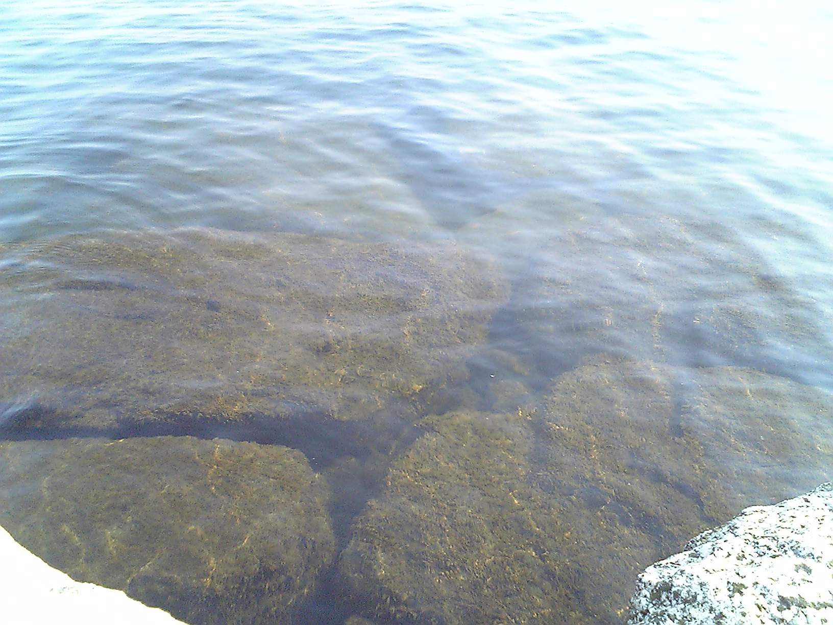 今朝の琵琶湖の湖面